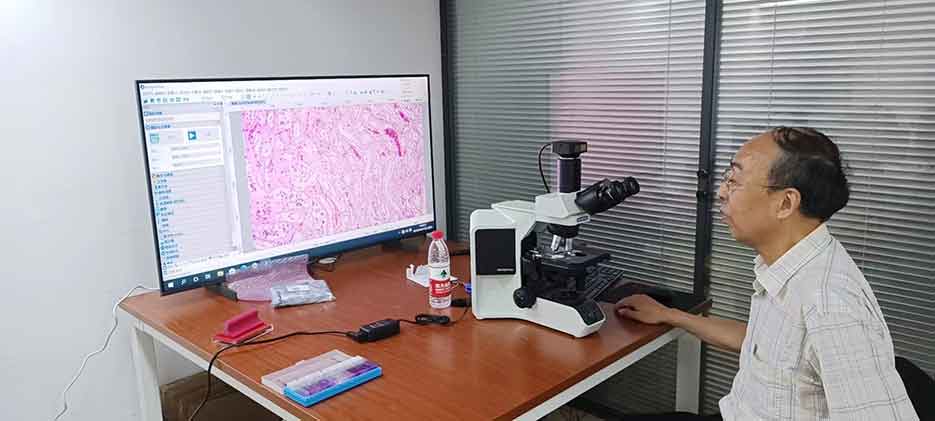 南京東南司法鑒定所法醫(yī)鑒定采用4K超高清病理圖像多人共攬會檢系統(tǒng)