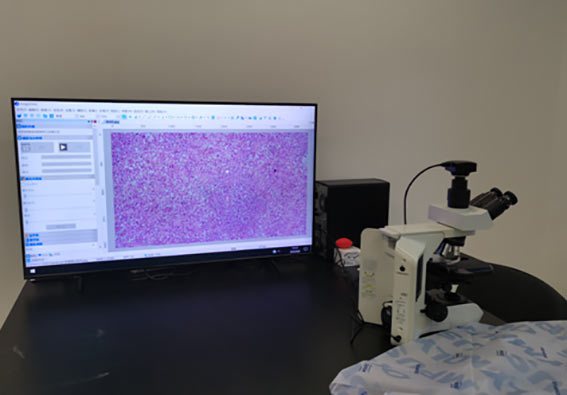 北京法源司法科學(xué)證據(jù)鑒定中心法醫(yī)室使用4K超高清病理圖像多人共攬會(huì)檢系統(tǒng)